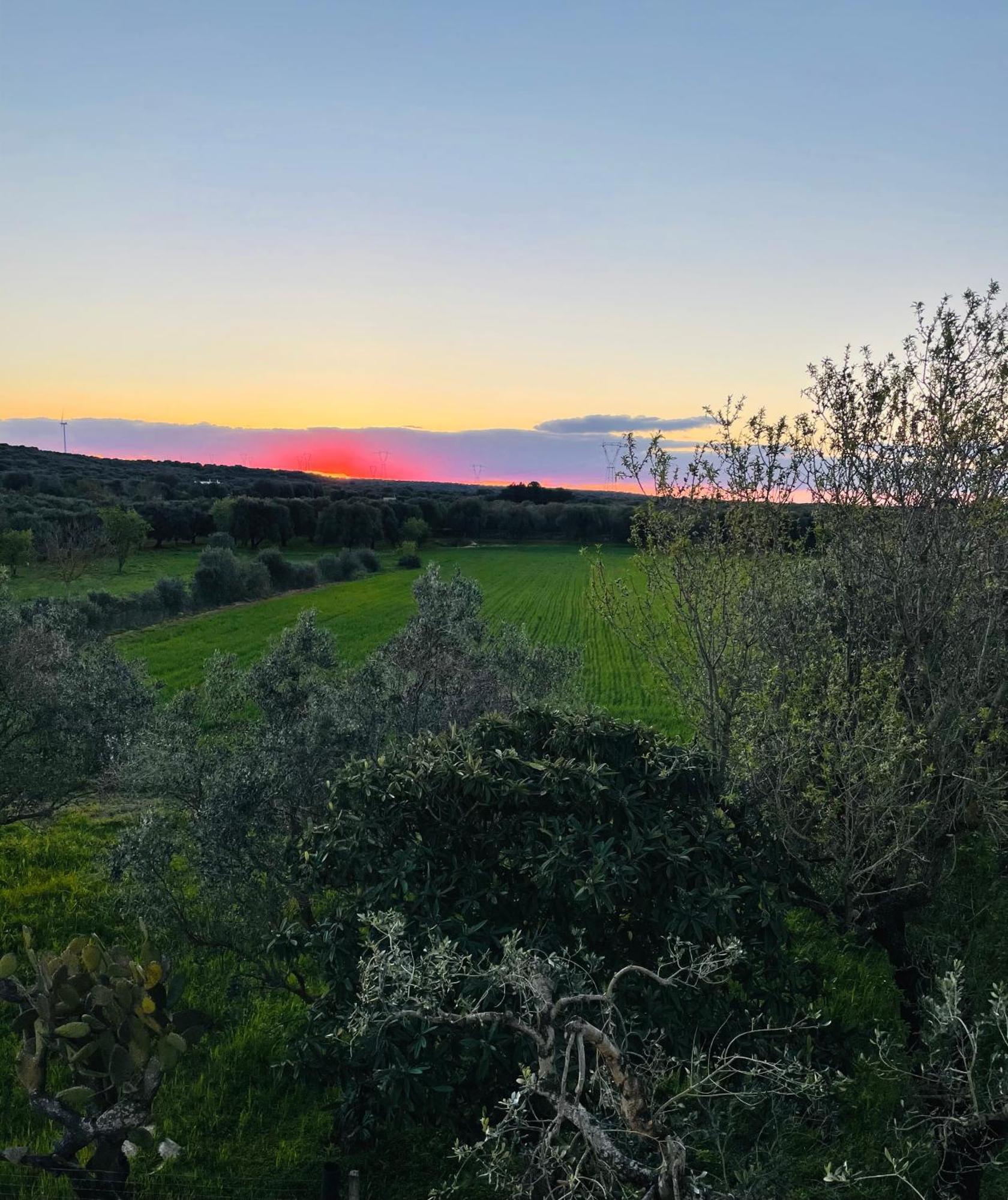 La Nicchia Apartment Villa Castelli ภายนอก รูปภาพ